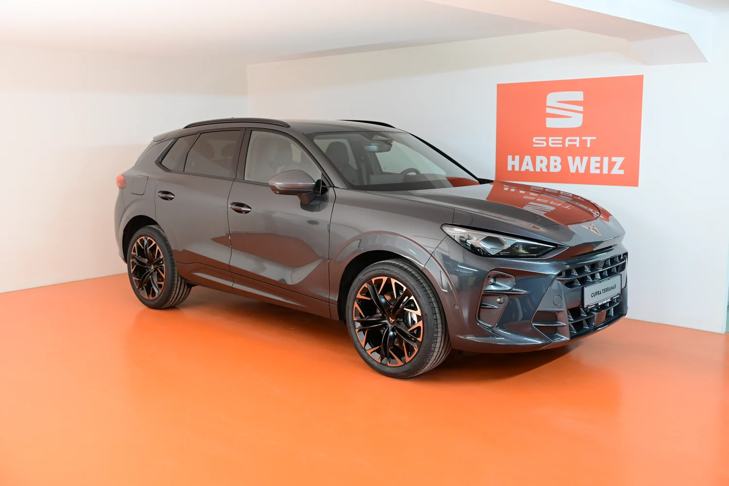 Bild eines Terramar 2.0 TSI 204 PS DSG 4Drive