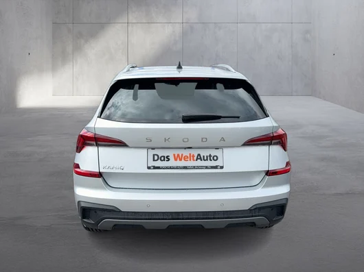 Bild eines Škoda Kamiq Selection TSI DSG