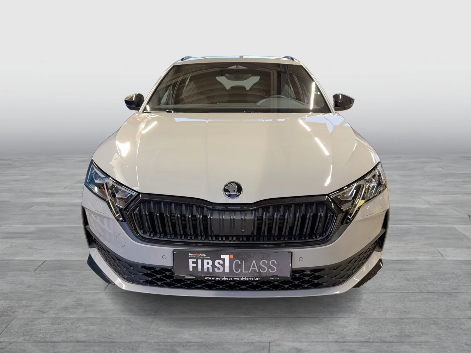 Bild eines Octavia Combi Sportline TDI DSG