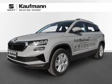 Škoda Karoq 4x4 Selection TDI DSG in Stahl-Grau