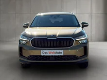 Škoda Kodiaq 4x4 Selection TDI DSG in Bronx-Gold Metallic