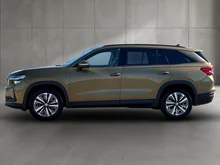 Škoda Kodiaq 4x4 Selection TDI DSG in Bronx-Gold Metallic