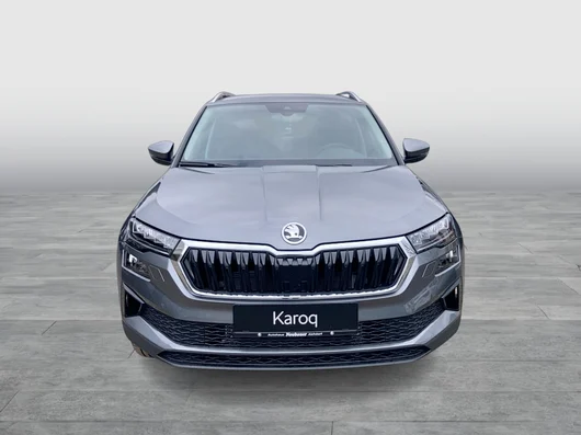 Bild eines Karoq 4x4 Selection TDI DSG