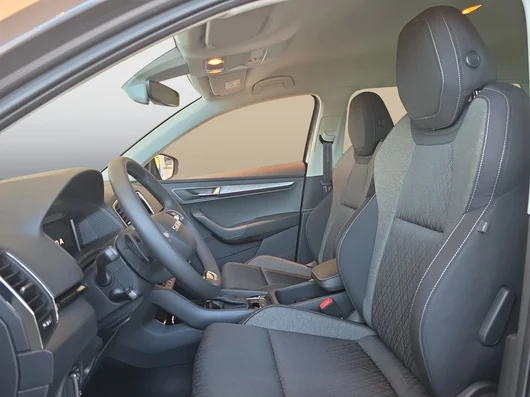 Bild eines Karoq 4x4 Selection TDI DSG