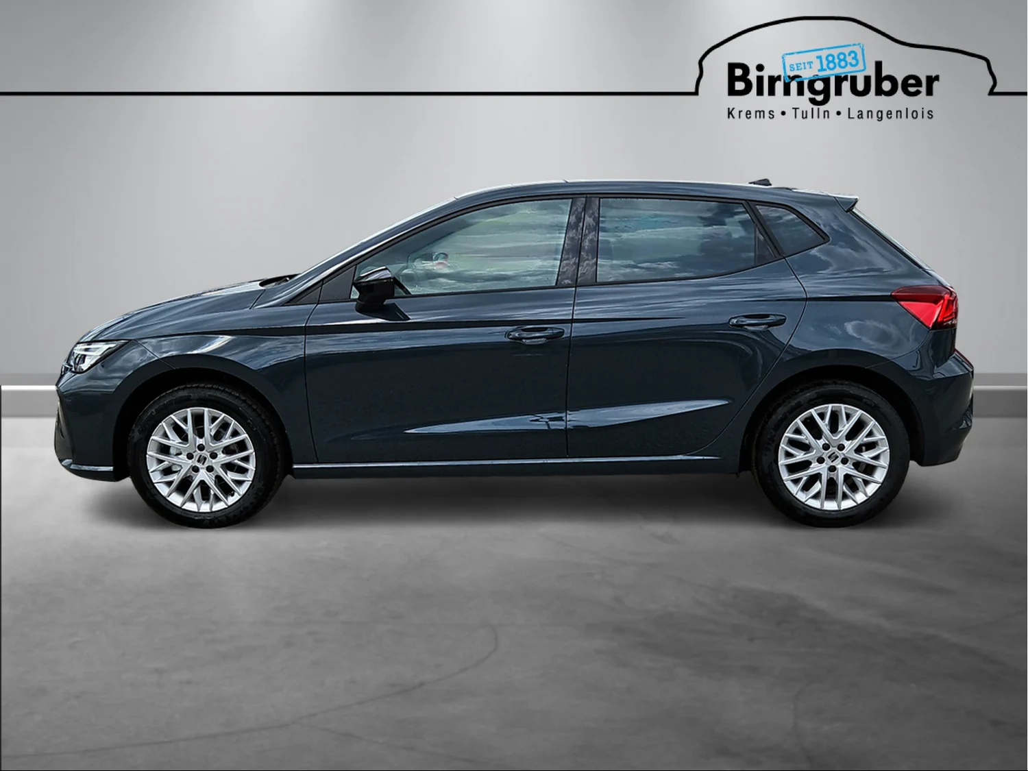 Bild eines Ibiza FR Edition 1.0 TSI 95PS