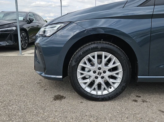 Bild eines Ibiza FR Edition 1.0 TSI 95PS