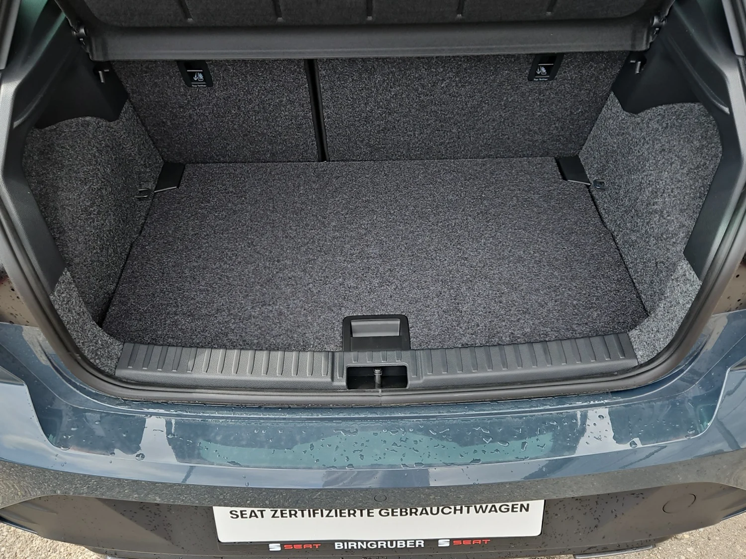 Bild eines Ibiza FR Edition 1.0 TSI 95PS