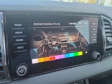 Škoda Karoq 4x4 SPORTLINE TDI DSG in Moon-Weiß Metallic