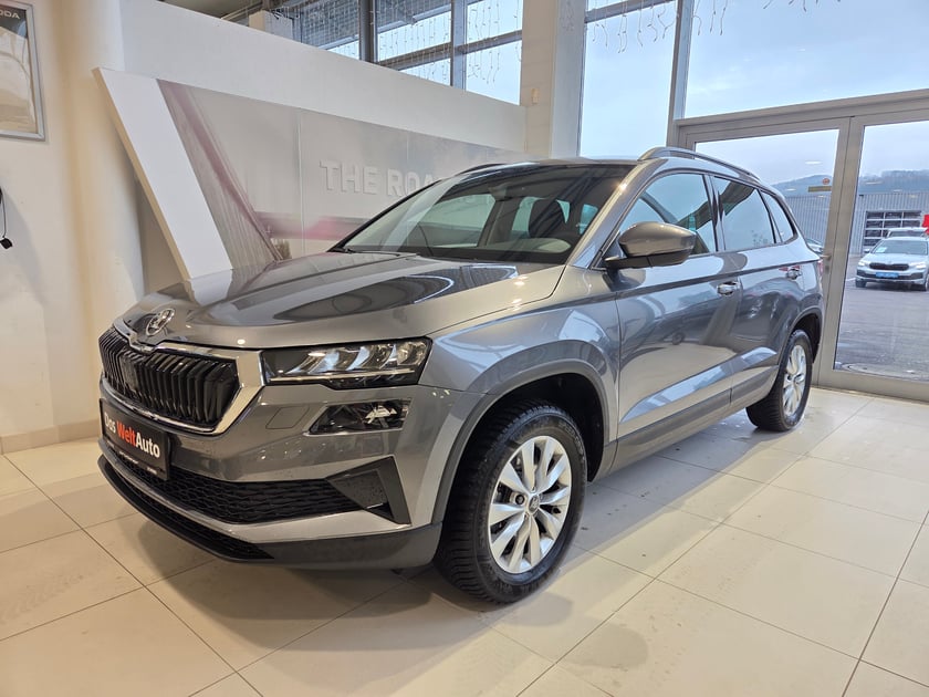 Škoda Karoq 4x4 Selection TDI DSG