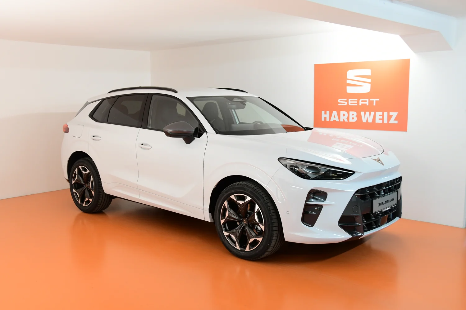 Bild eines Terramar 1.5 e-TSI 150 PS DSG