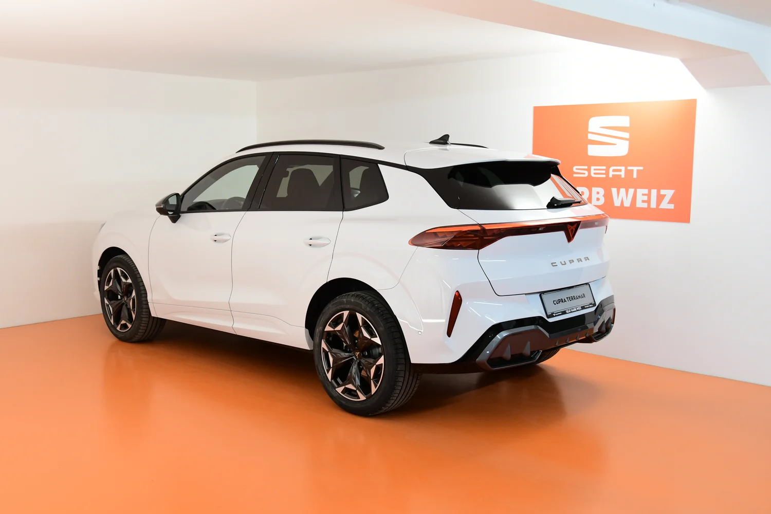 Bild eines Terramar 1.5 e-TSI 150 PS DSG