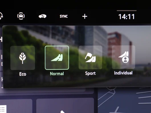 Bild eines Škoda Octavia Combi Selection TSI