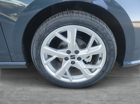 Bild eines Ibiza FR 1.0 TSI 95PS