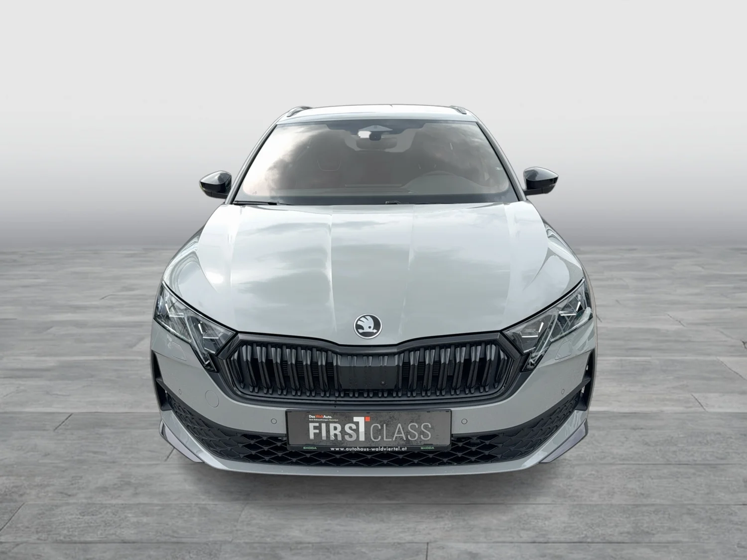 Bild eines Octavia Combi Sportline TDI DSG
