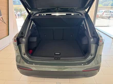 VW Tiguan Friends eTSI DSG in Cipressino-Grün Metallic