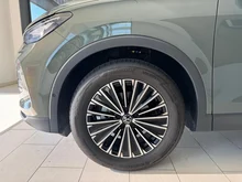 VW Tiguan Friends eTSI DSG in Cipressino-Grün Metallic