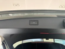 VW Tiguan Friends eTSI DSG in Cipressino-Grün Metallic