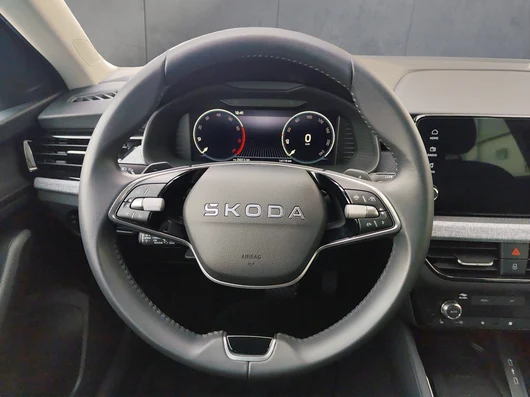 Bild eines Škoda Scala Selection TSI DSG