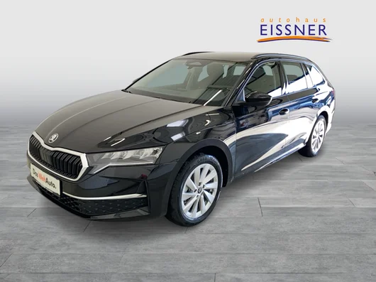 Bild eines Octavia Combi Selection TDI