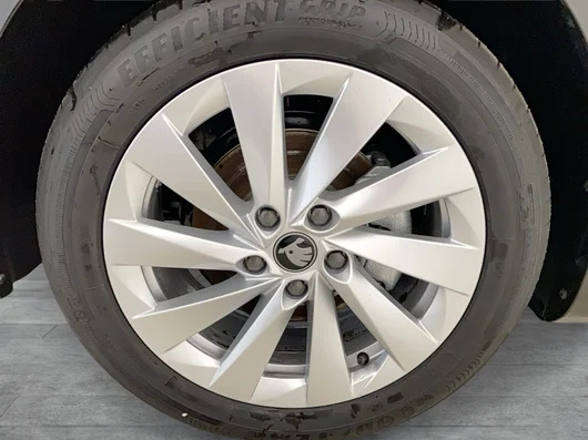 Bild eines Octavia Combi Selection TDI