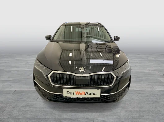Bild eines Octavia Combi Selection TDI