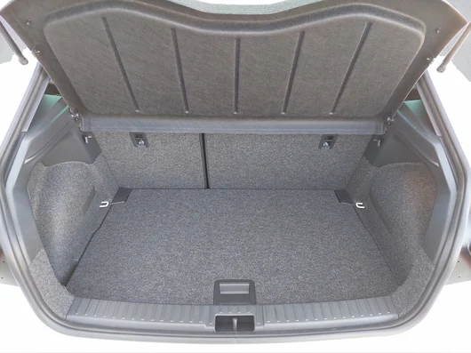 Bild eines Ibiza FR Edition 1.0 TSI