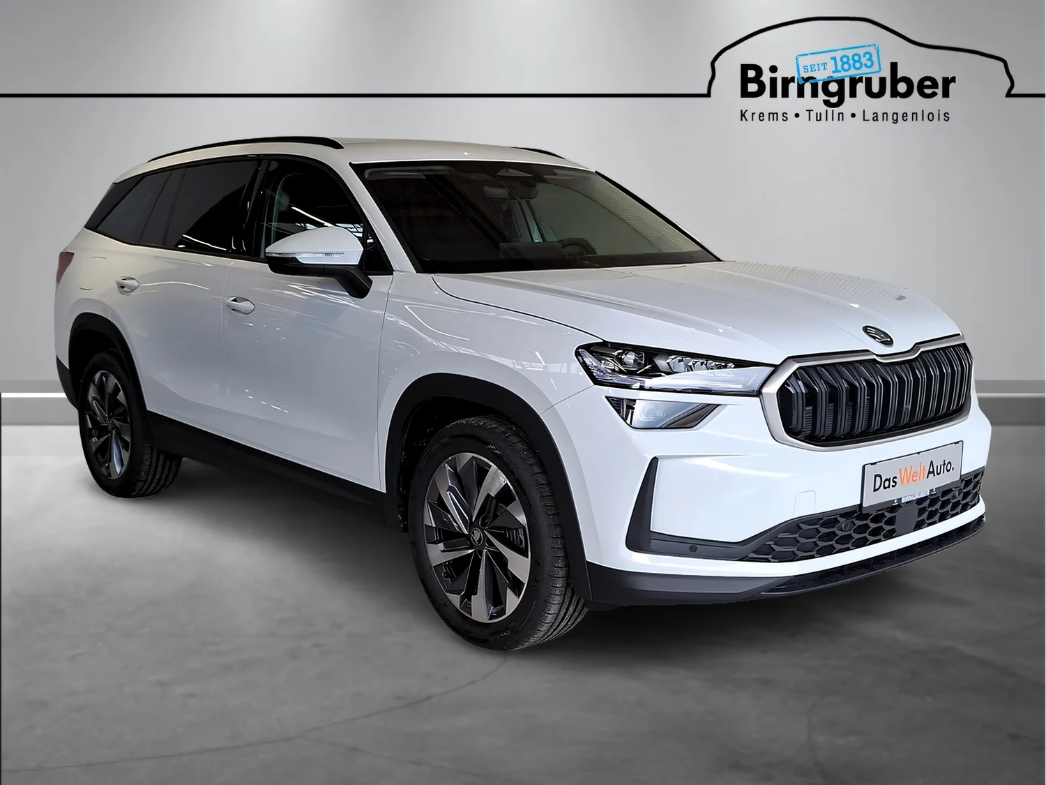 Bild eines Kodiaq Selection TDI DSG