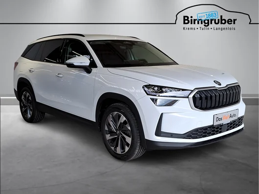 Bild eines Kodiaq Selection TDI DSG