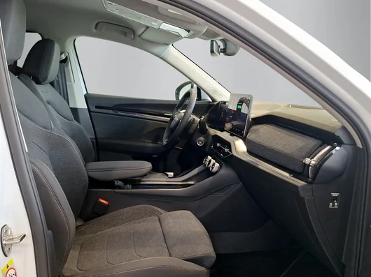 Bild eines Kodiaq Selection TDI DSG