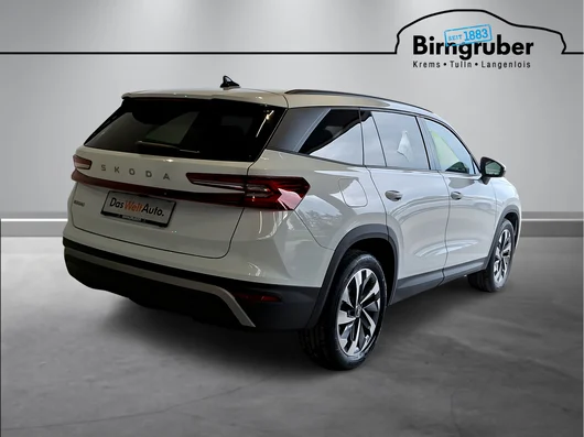 Bild eines Kodiaq Selection TDI DSG