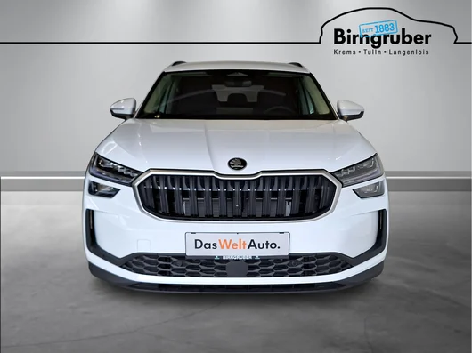 Bild eines Kodiaq Selection TDI DSG