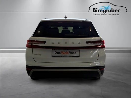 Bild eines Kodiaq Selection TDI DSG