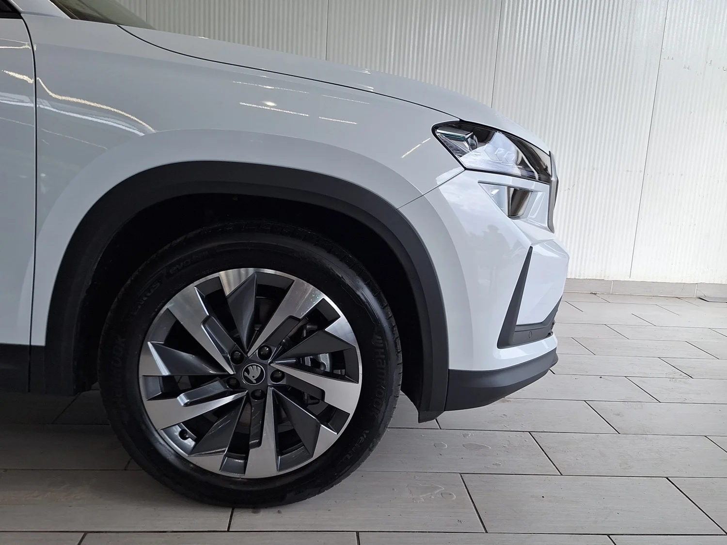 Bild eines Kodiaq Selection TDI DSG