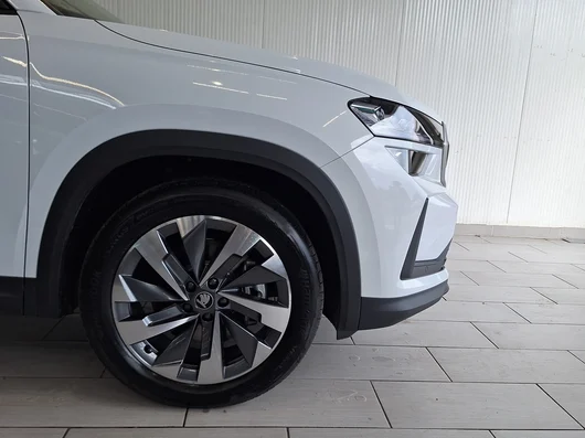 Bild eines Kodiaq Selection TDI DSG