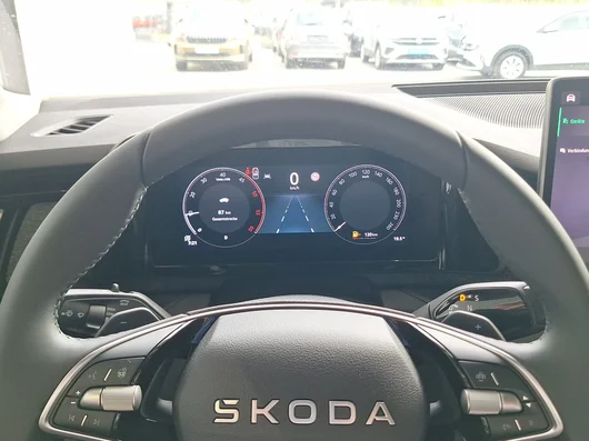 Bild eines Kodiaq Selection TDI DSG