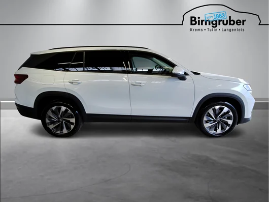 Bild eines Kodiaq Selection TDI DSG