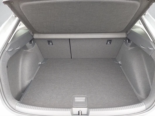 Bild eines Taigo Friends TSI