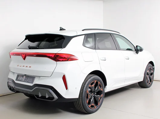 Bild eines Terramar e-HYBRID 204 PS DSG