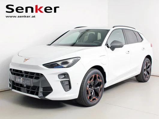 Bild eines Terramar e-HYBRID 204 PS DSG
