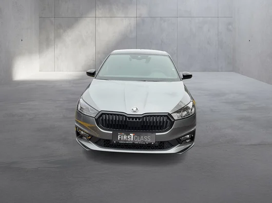 Bild eines Škoda Fabia Monte Carlo TSI DSG