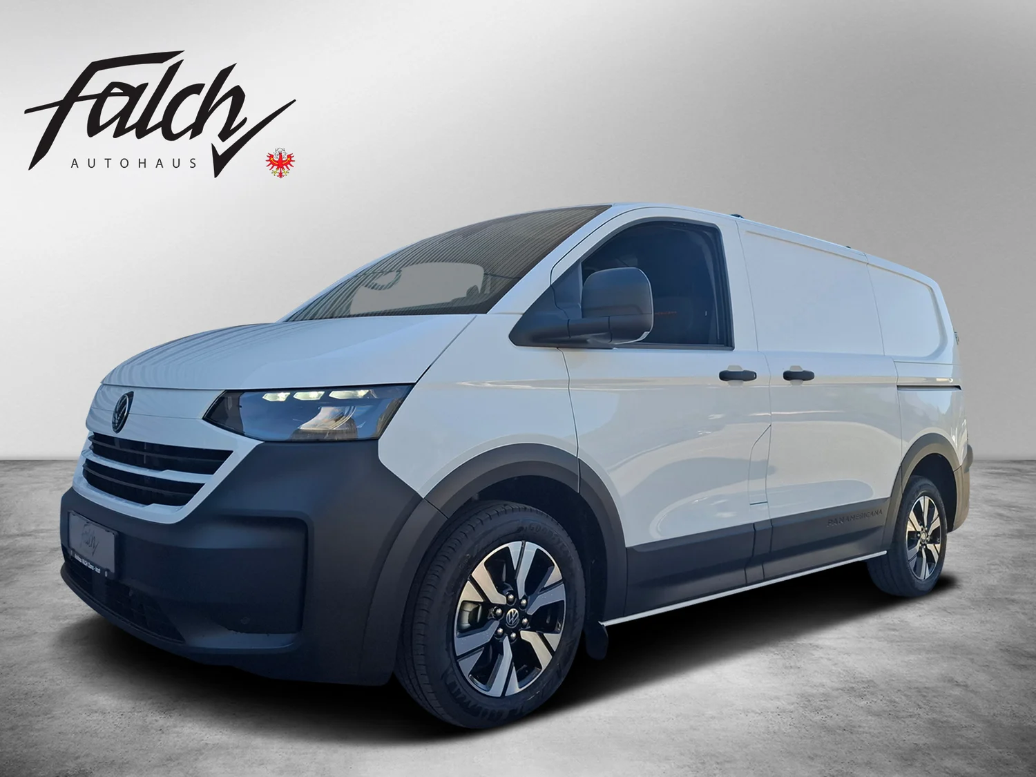 Bild eines Transporter Kasten PanAmericana TDI 4M