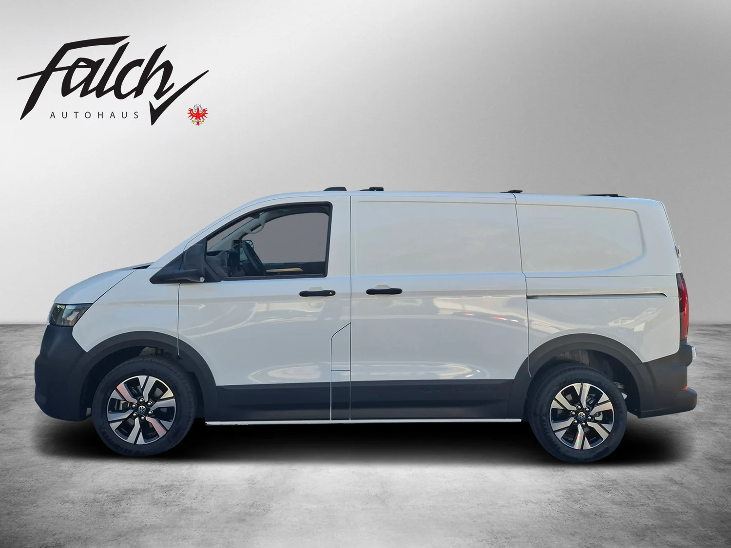 Bild eines Transporter Kasten PanAmericana TDI 4M