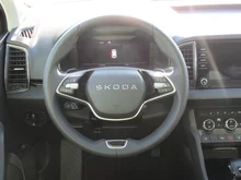 Škoda Karoq Selection TDI DSG in Moon-Weiß Metallic