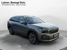 Škoda Kodiaq 4x4 Selection TDI DSG in Graphit-Grau Metallic