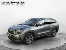 Škoda Kodiaq 4x4 Selection TDI DSG in Graphit-Grau Metallic
