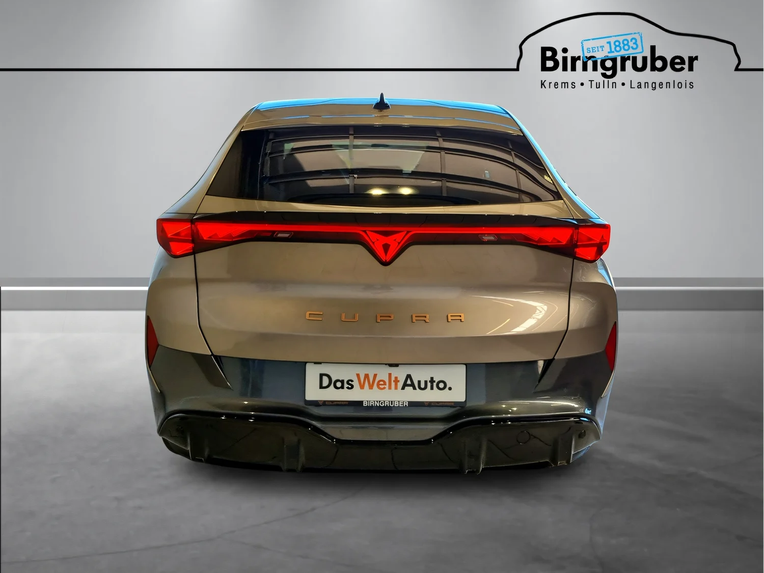 Bild eines Tavascan Extreme 210kW/286PS