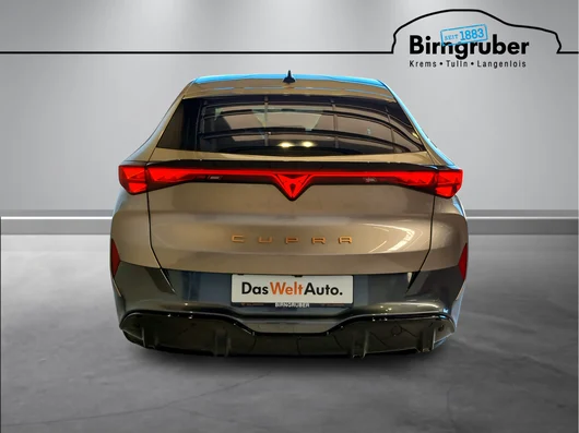 Bild eines Tavascan Extreme 210kW/286PS