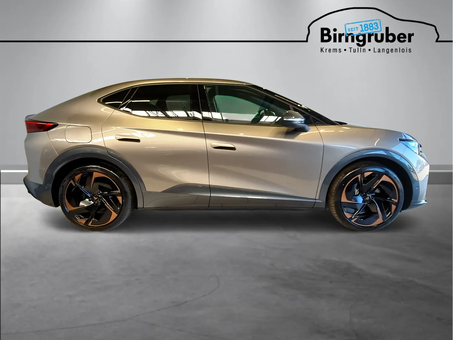 Bild eines Tavascan Extreme 210kW/286PS