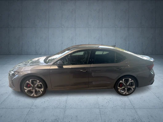 Bild eines Octavia RS