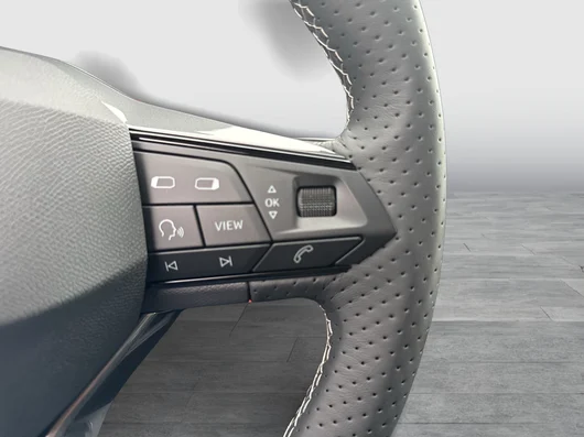 Bild eines Ibiza Style Edition 1.0 TSI 95PS